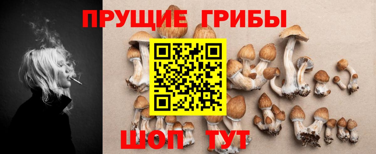 Галлюциногенные грибы Psilocybine cubensis  Галлюциногенные грибы Cubensis  Шали  Вход с VPN 