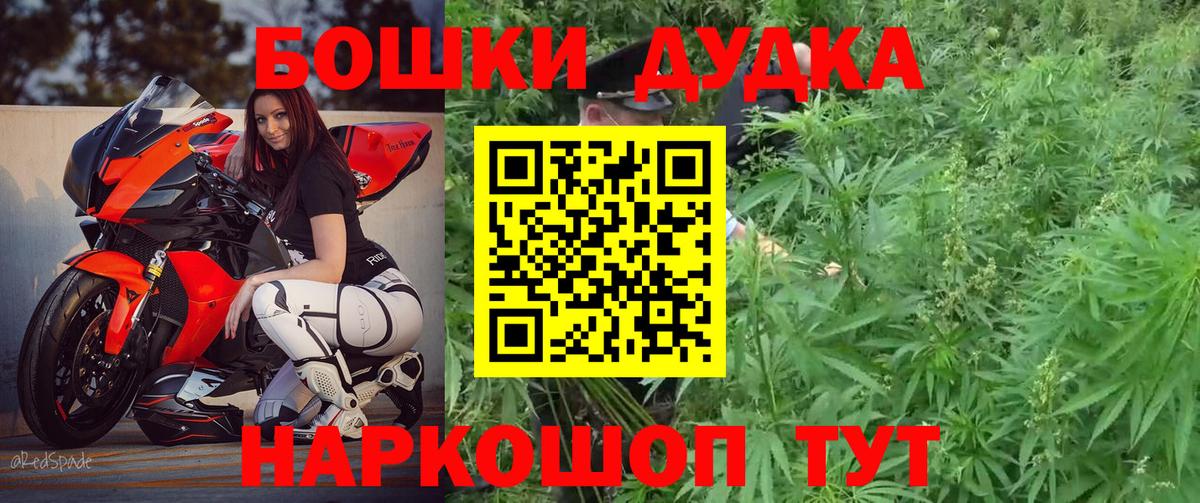 Каннабис OG Kush Шали